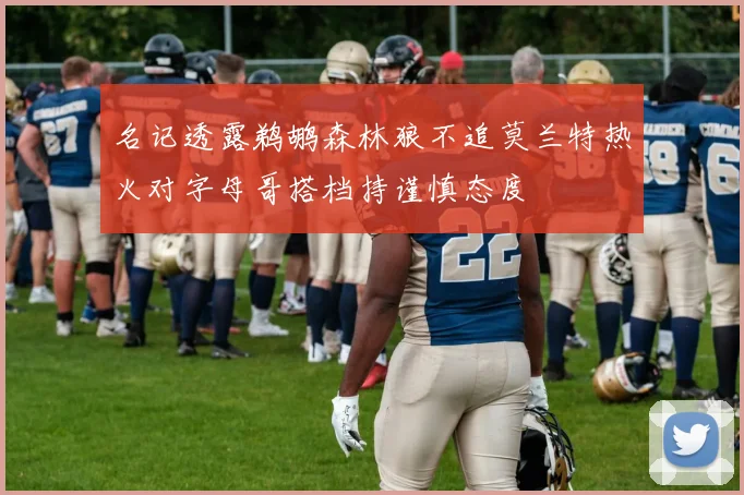 名记透露鹈鹕森林狼不追莫兰特热火对字母哥搭档持谨慎态度