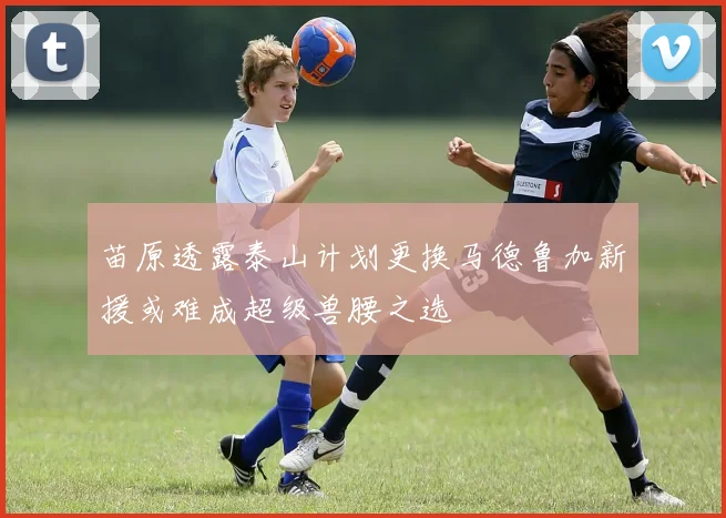苗原透露泰山计划更换马德鲁加新援或难成超级兽腰之选
